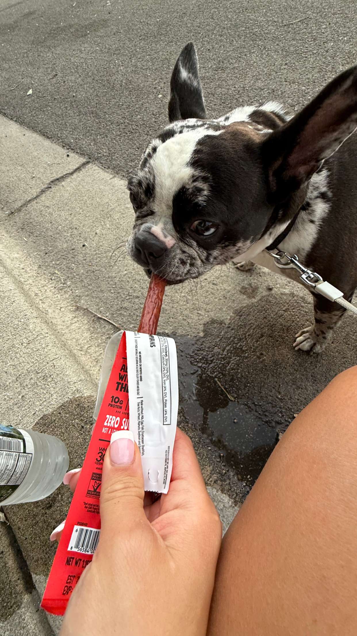 realhaylujan snapchat image archive image