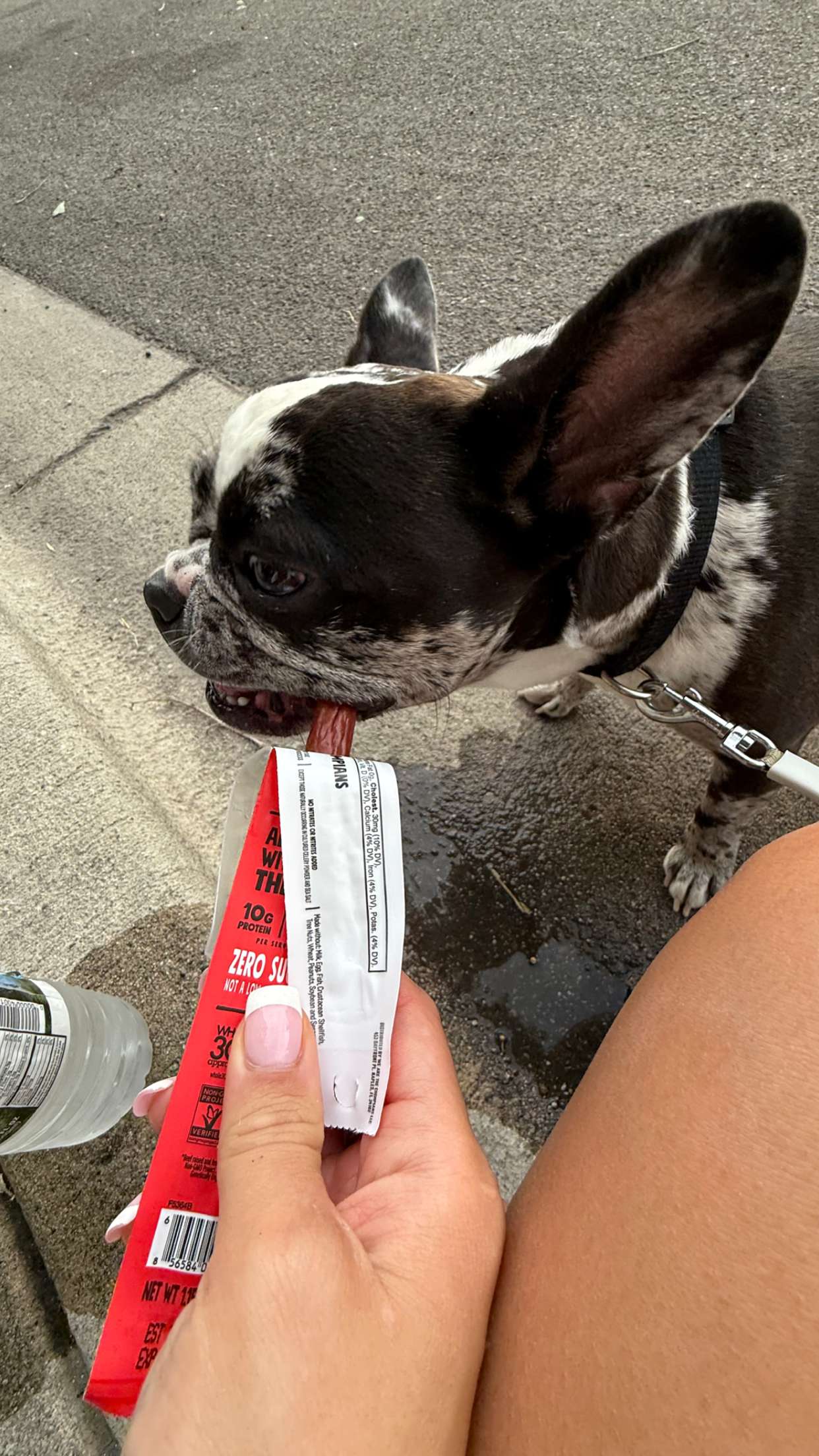 realhaylujan snapchat image archive image