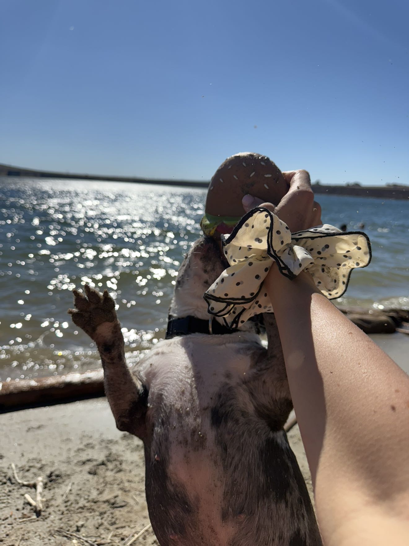 realhaylujan snapchat image archive image