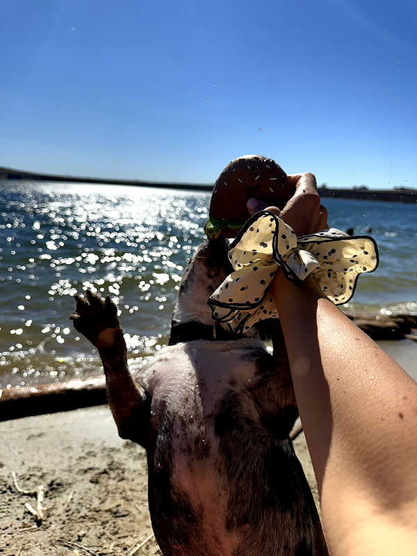 realhaylujan image ~ Altpins