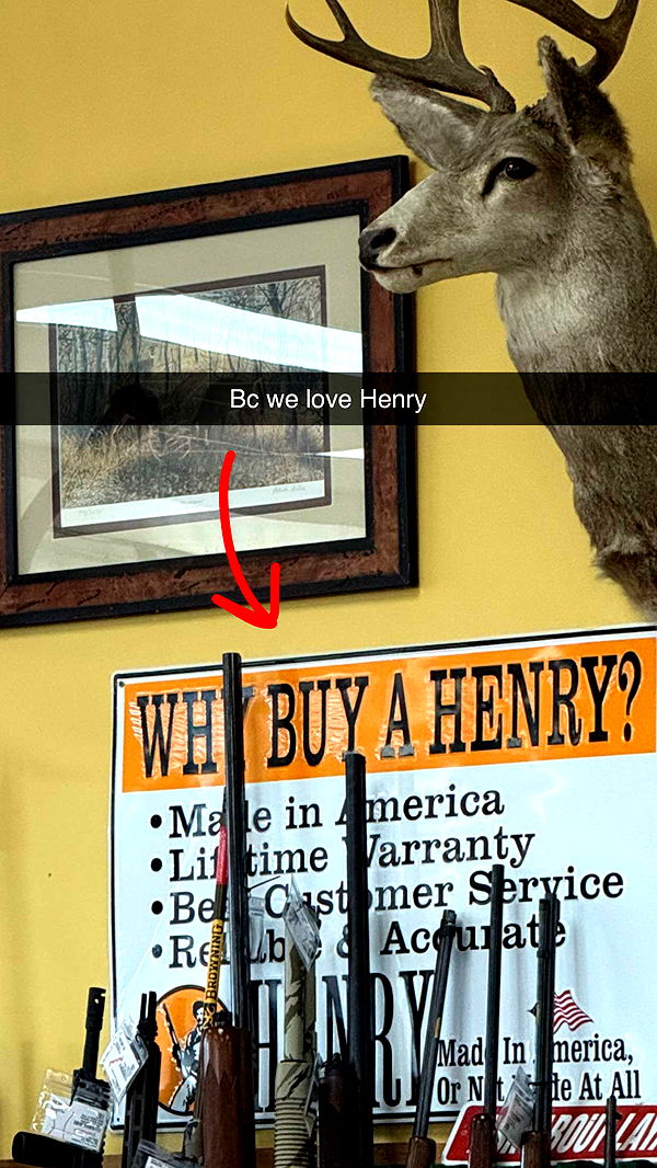 realhaylujan image ~ Altpins