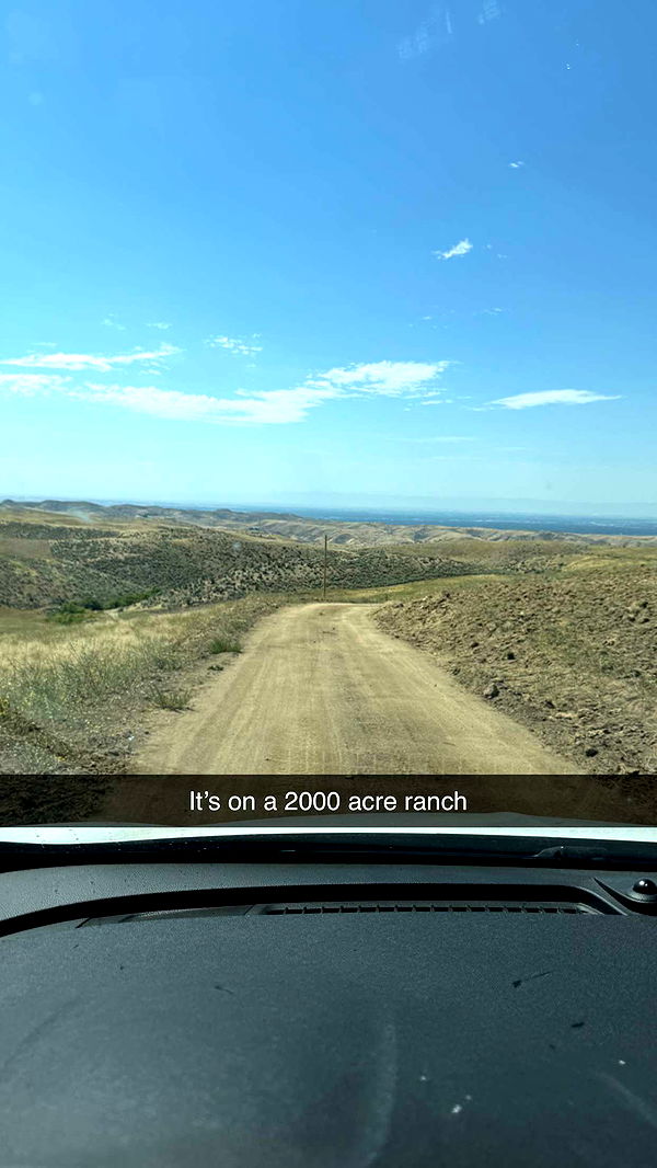 realhaylujan image ~ Altpins