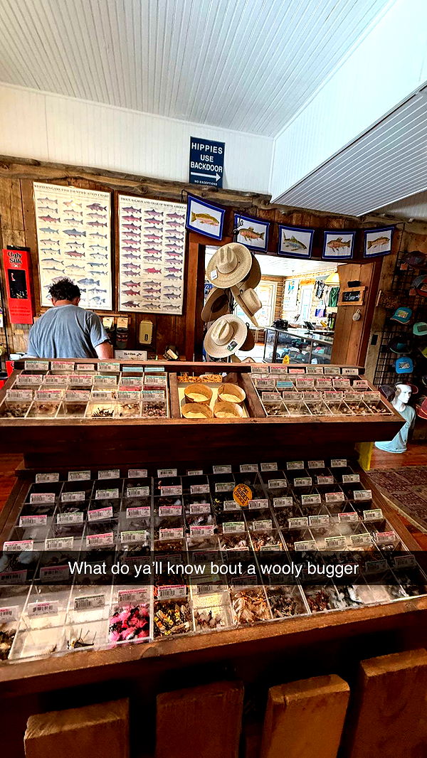 realhaylujan image ~ Altpins