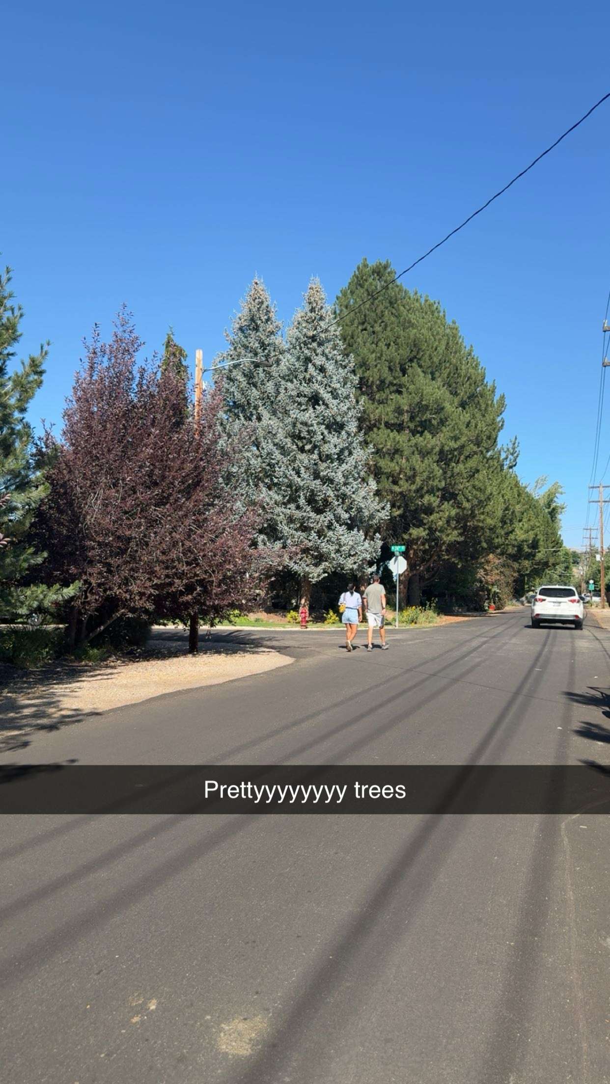 realhaylujan snapchat image archive image