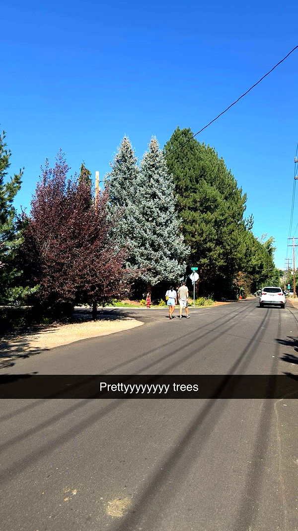 realhaylujan image ~ Altpins