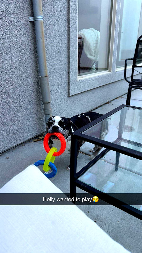 realhaylujan image ~ Altpins