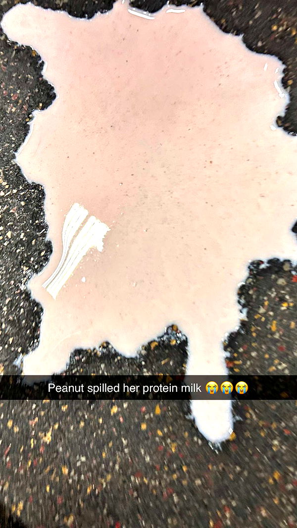 realhaylujan image ~ Altpins