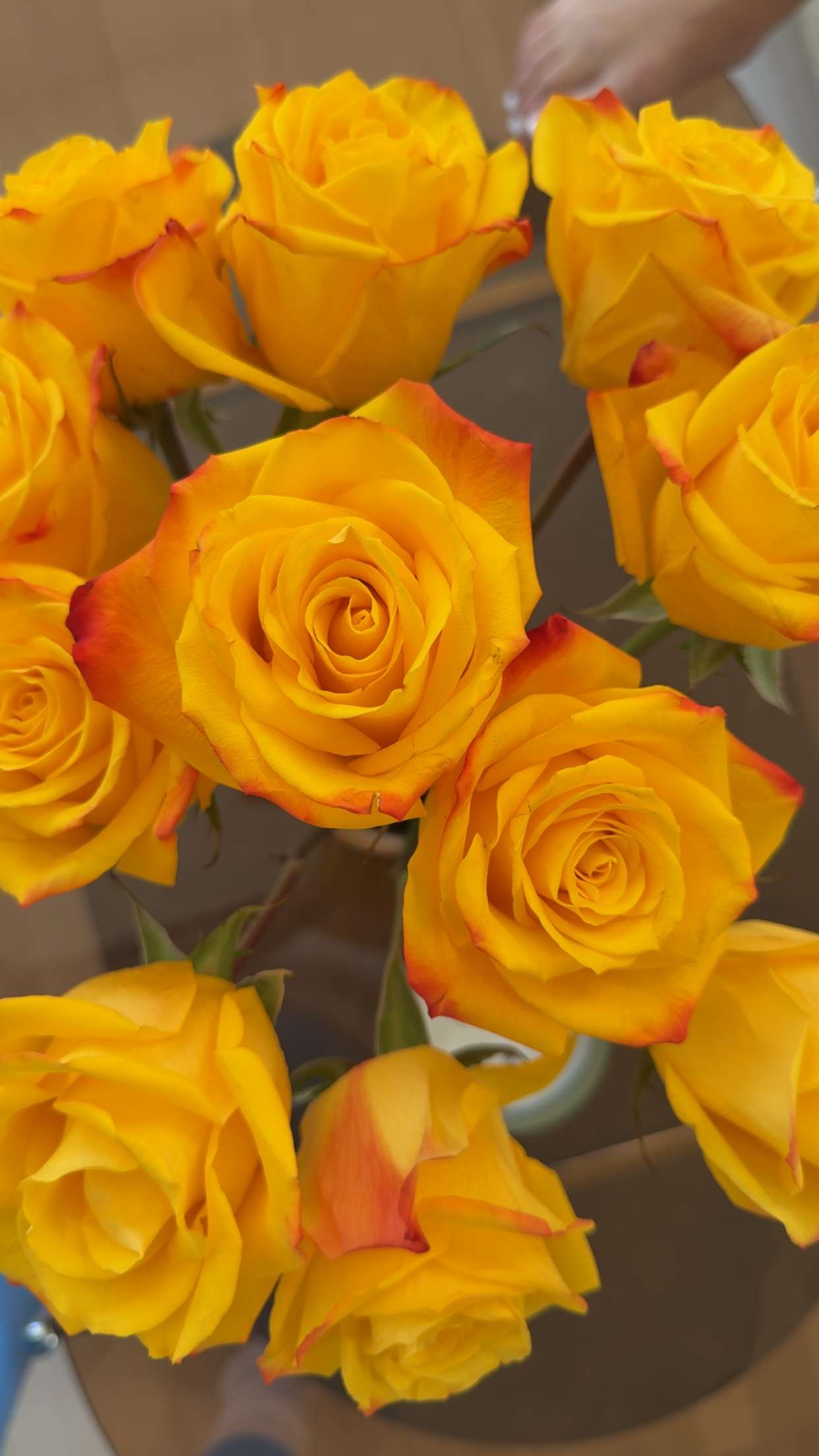 realhaylujan snapchat image archive image