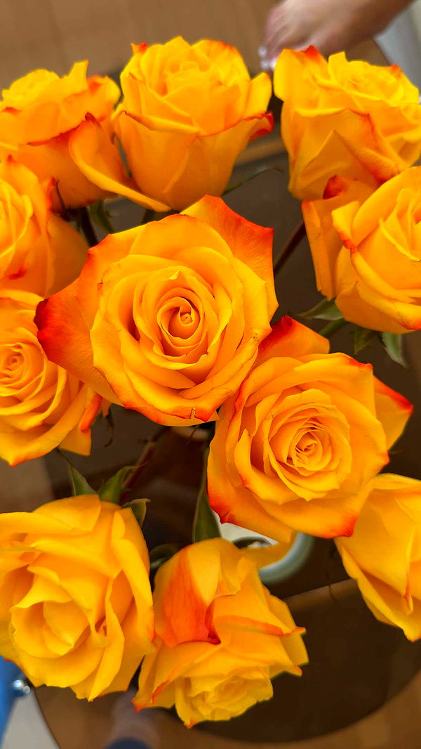 realhaylujan image ~ Altpins