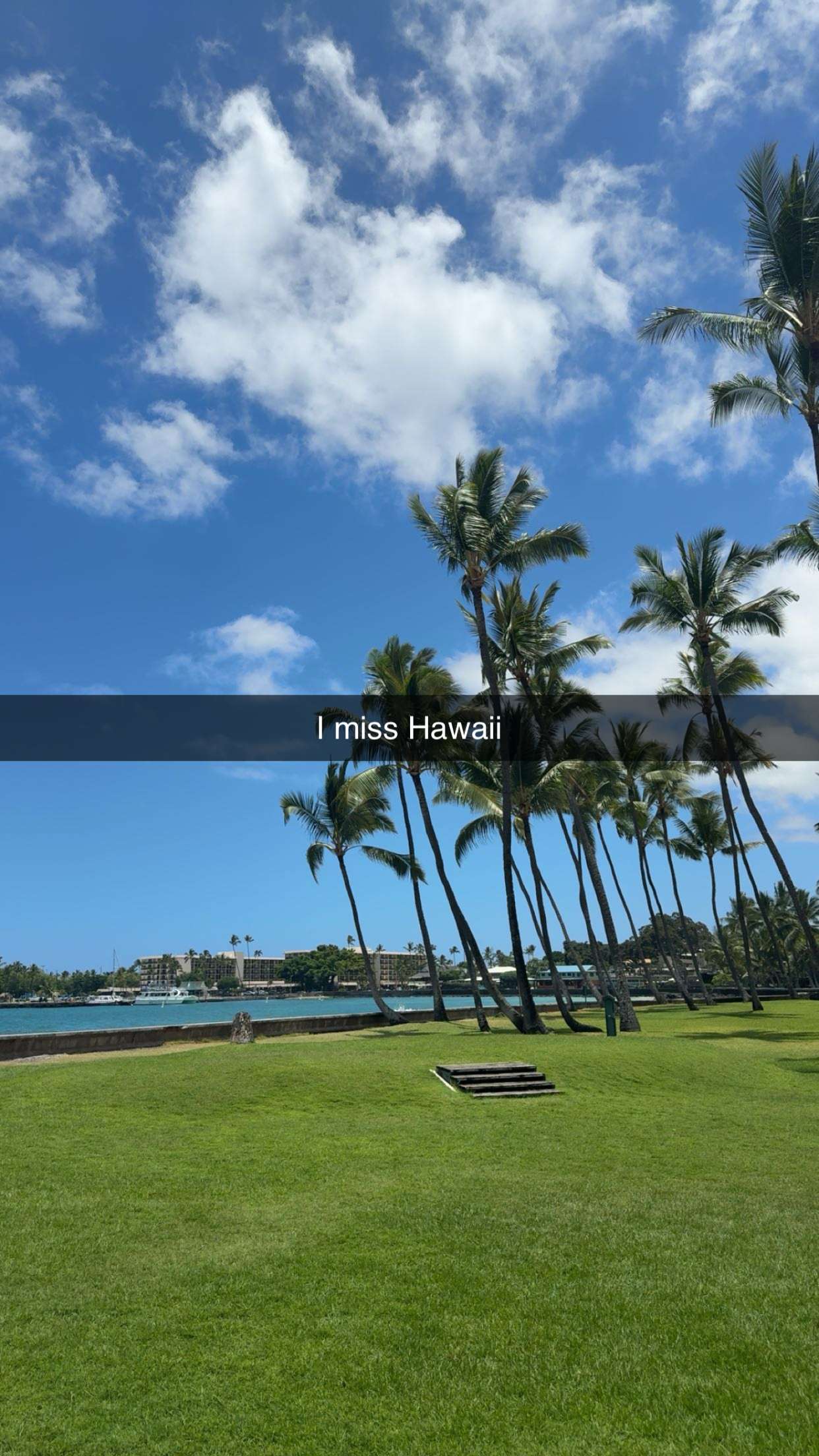 realhaylujan snapchat image archive image