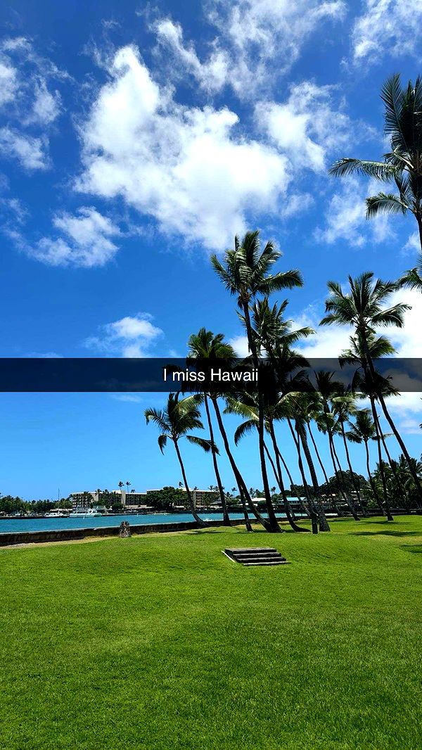 realhaylujan image ~ Altpins