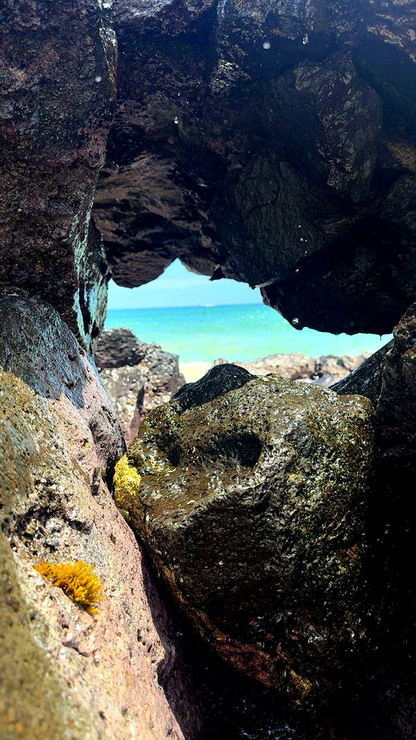 realhaylujan image ~ Altpins