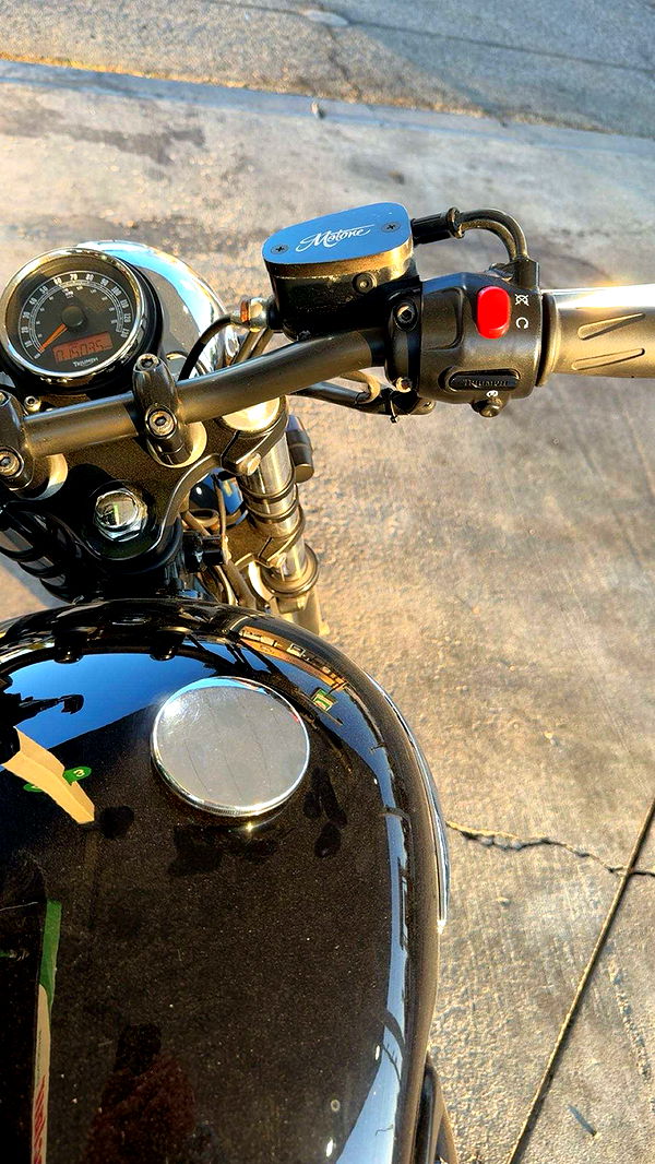 realhaylujan image ~ Altpins