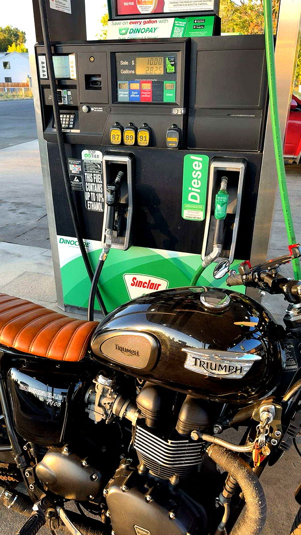 realhaylujan image ~ Altpins