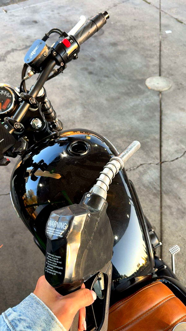 realhaylujan image ~ Altpins