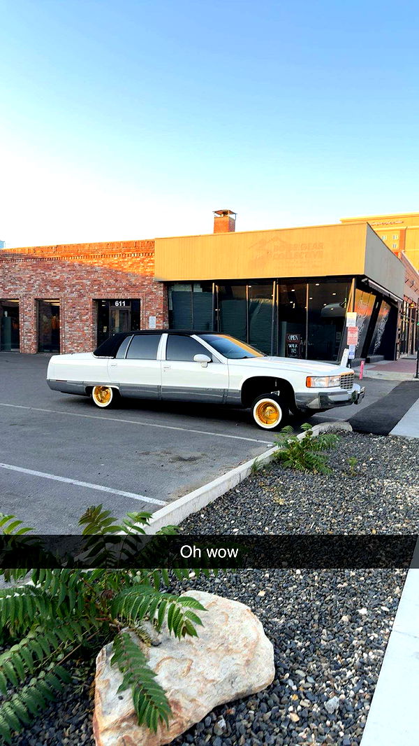 realhaylujan image ~ Altpins