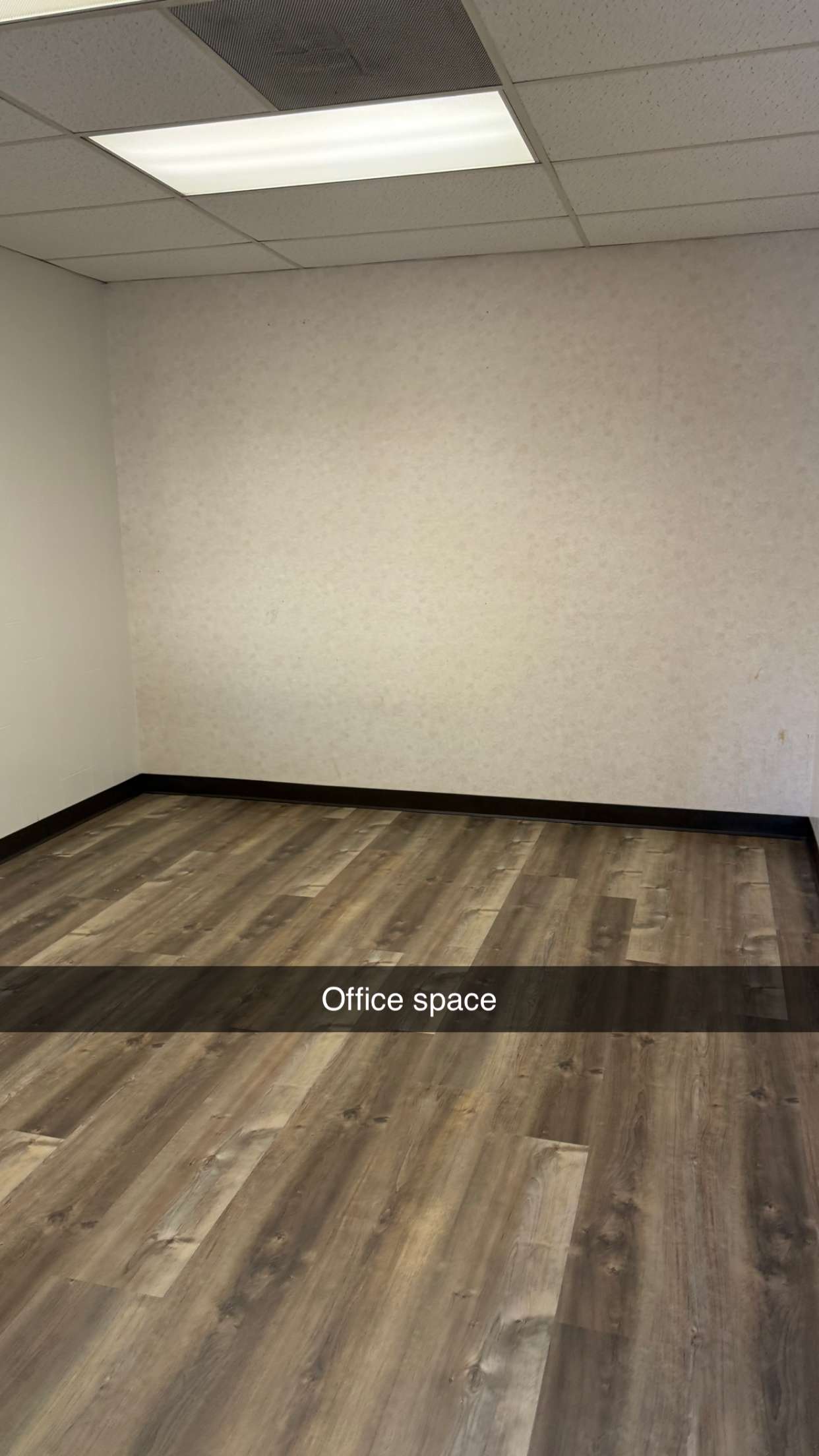 realhaylujan snapchat image archive image