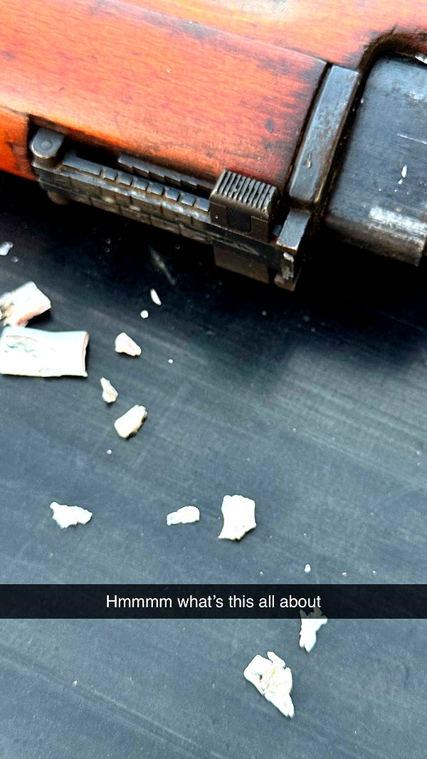 realhaylujan image ~ Altpins