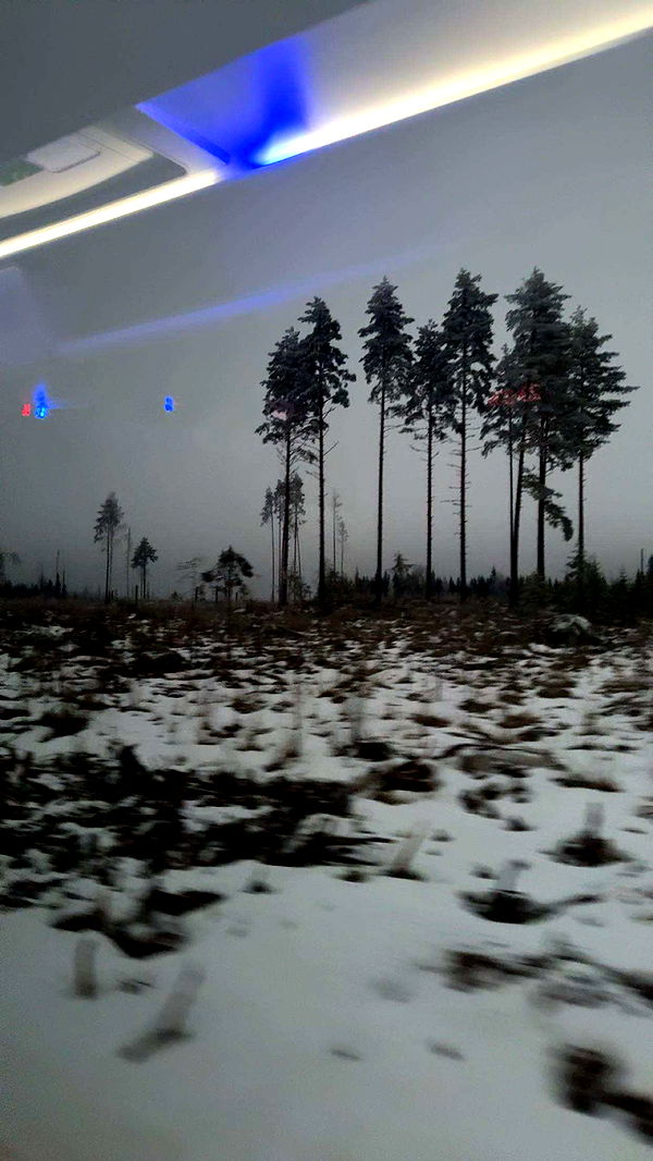 realhaylujan image ~ Altpins