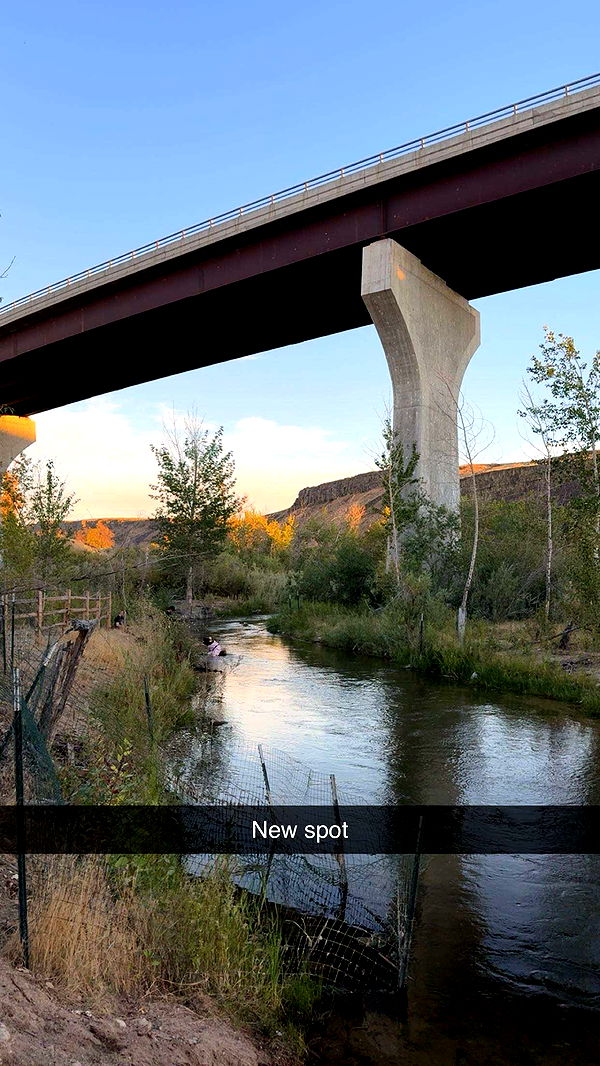 realhaylujan image ~ Altpins