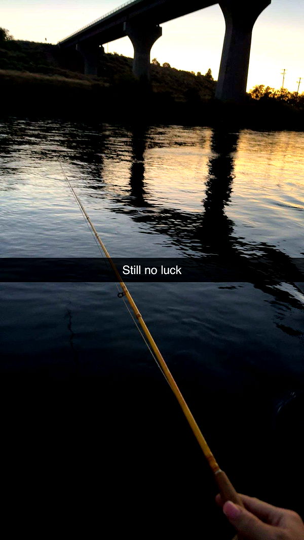 realhaylujan image ~ Altpins