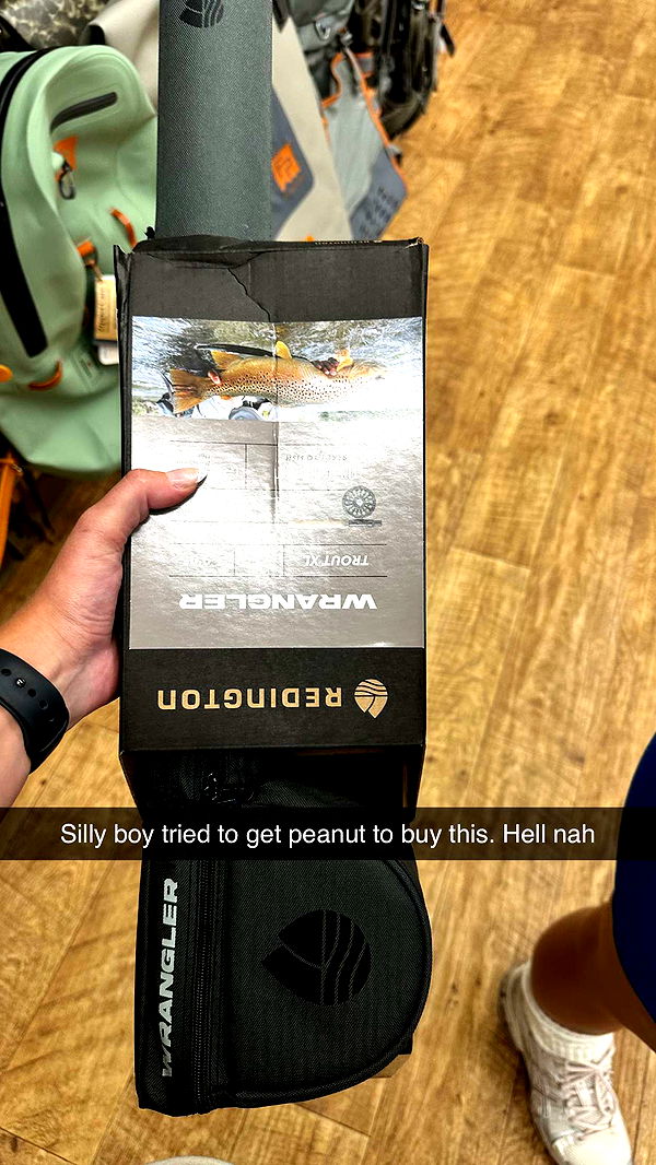 realhaylujan image ~ Altpins