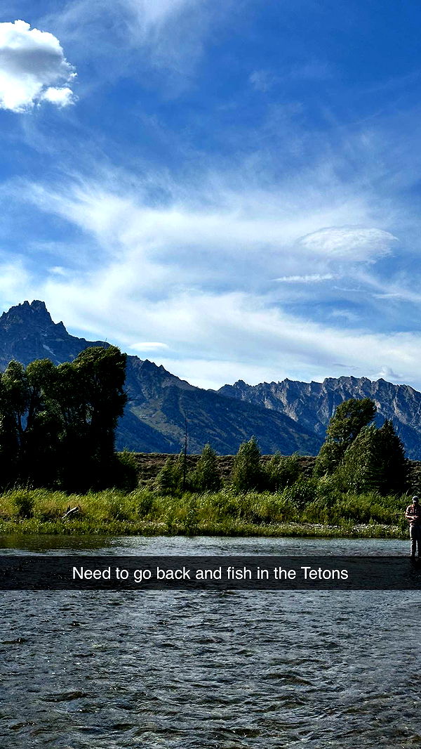 realhaylujan image ~ Altpins