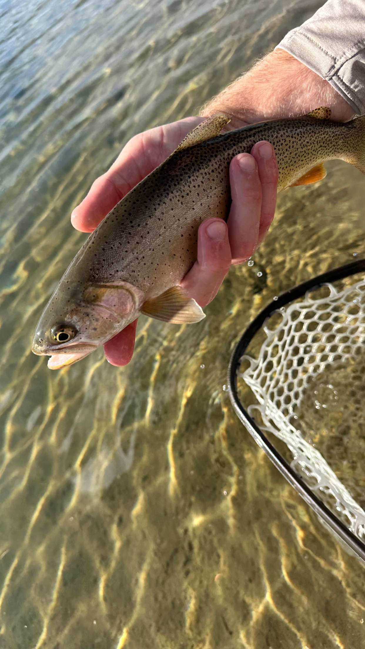 realhaylujan snapchat image archive image