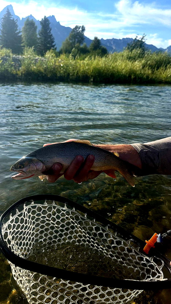 realhaylujan image ~ Altpins