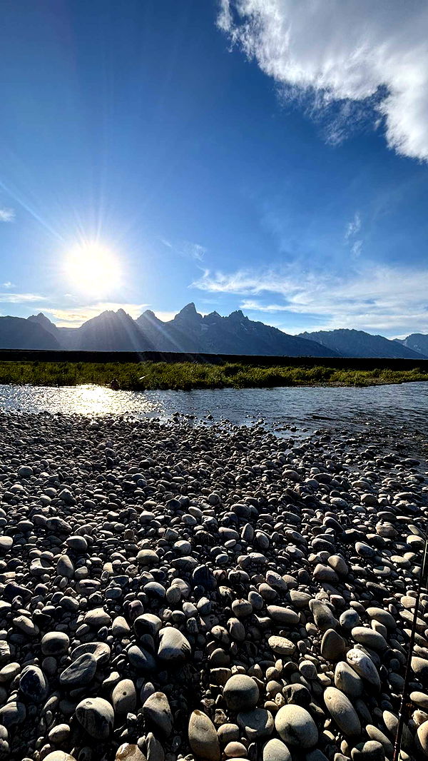 realhaylujan image ~ Altpins