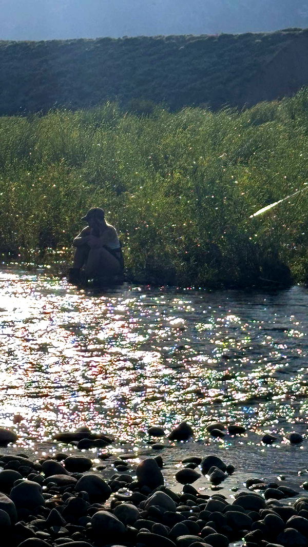 realhaylujan image ~ Altpins