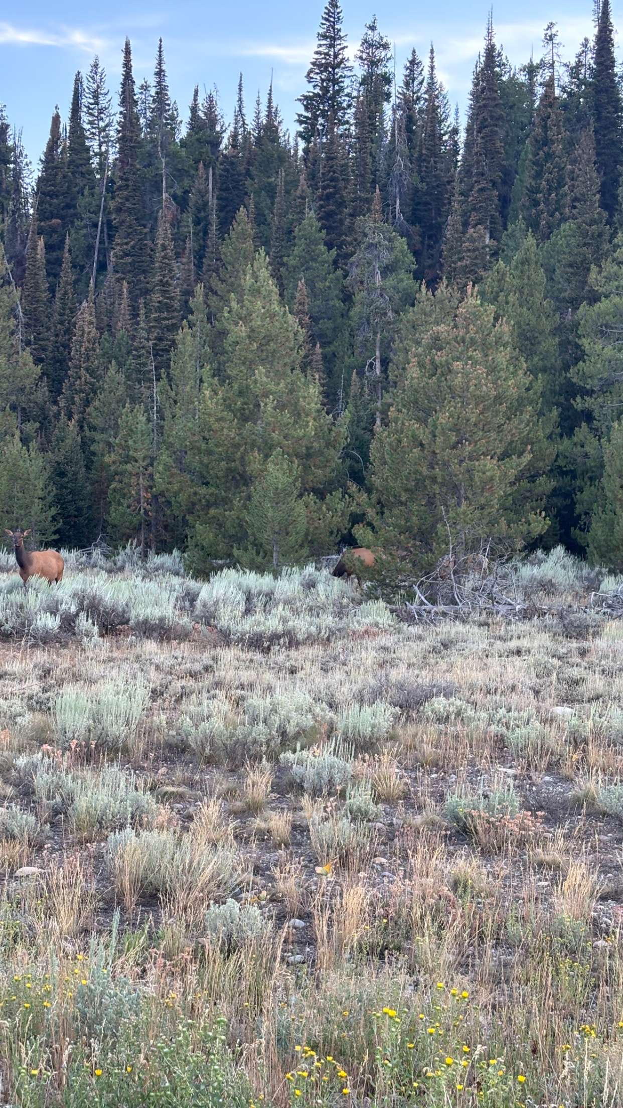 realhaylujan snapchat image archive image