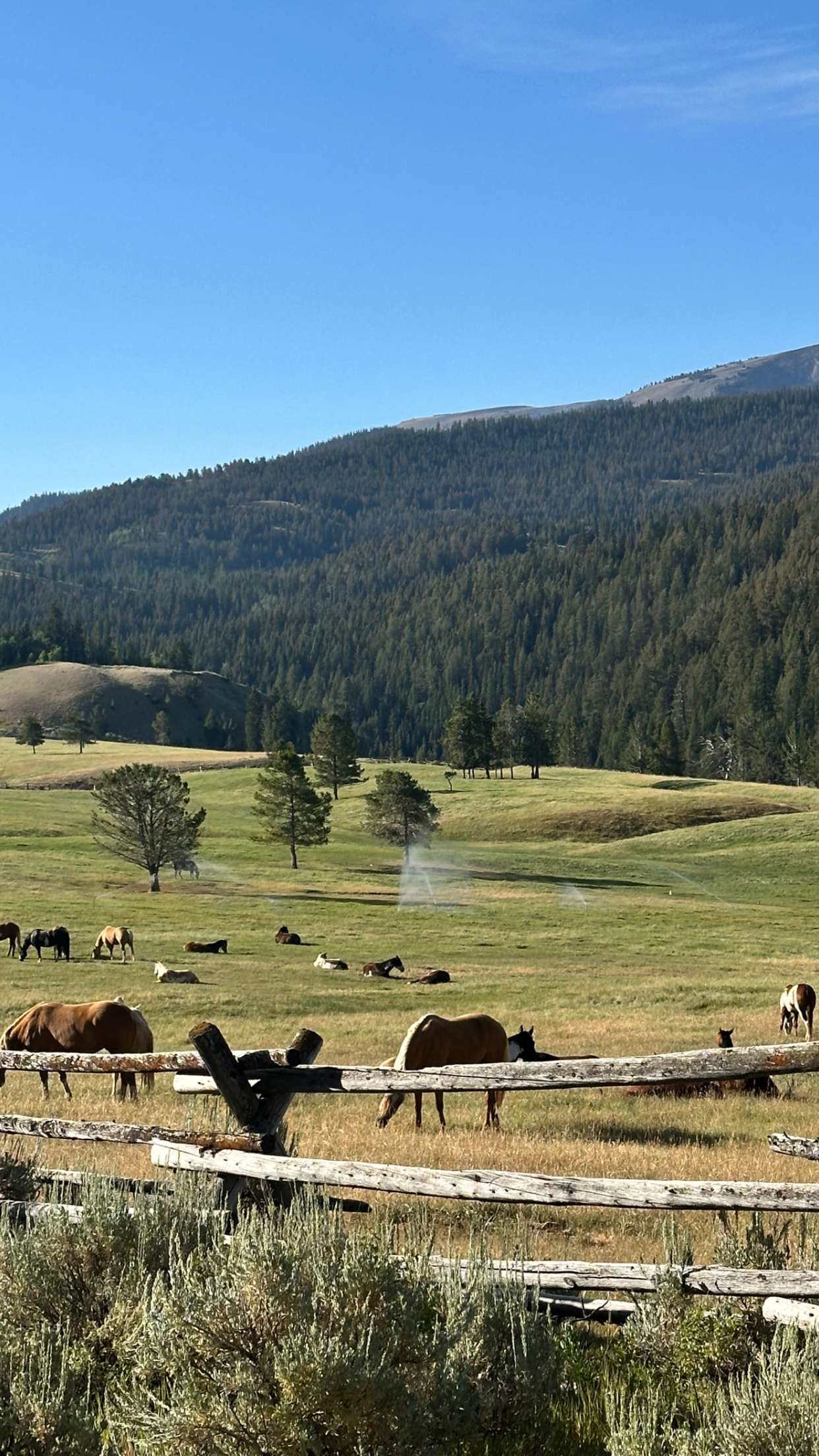 realhaylujan snapchat image archive image