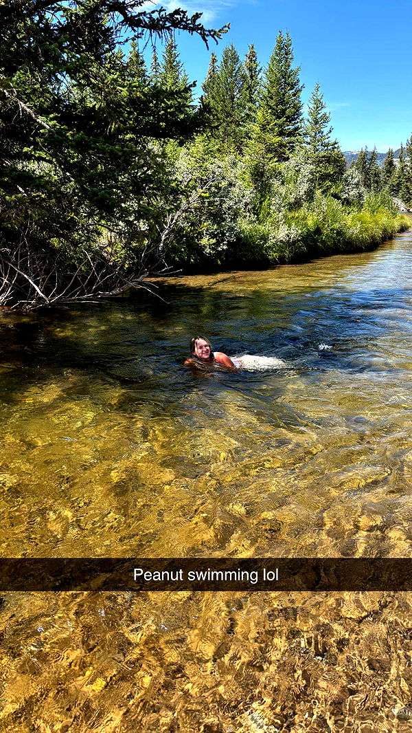 realhaylujan image ~ Altpins