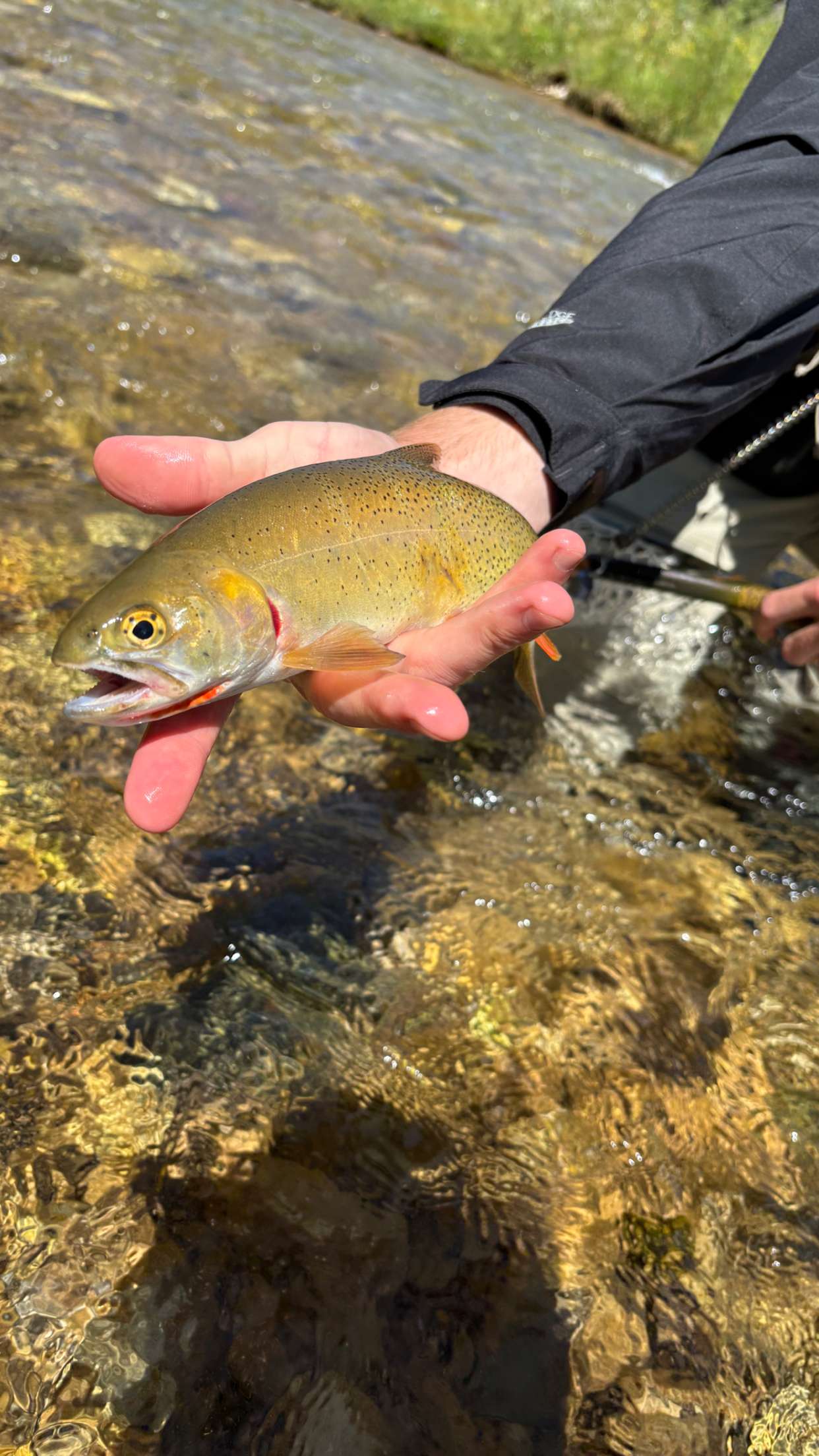 realhaylujan snapchat image archive image