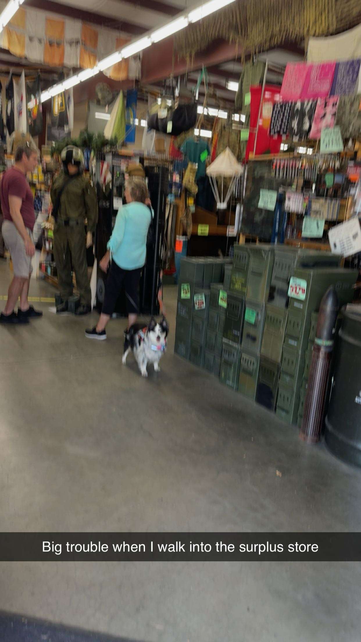 realhaylujan snapchat image archive image