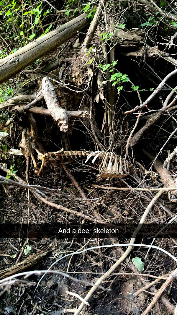 realhaylujan image ~ Altpins