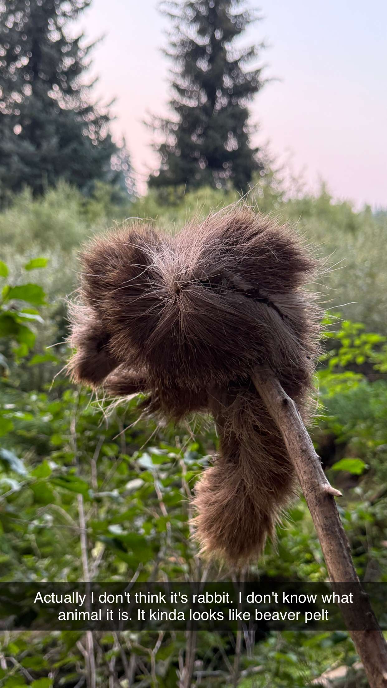 realhaylujan snapchat image archive image