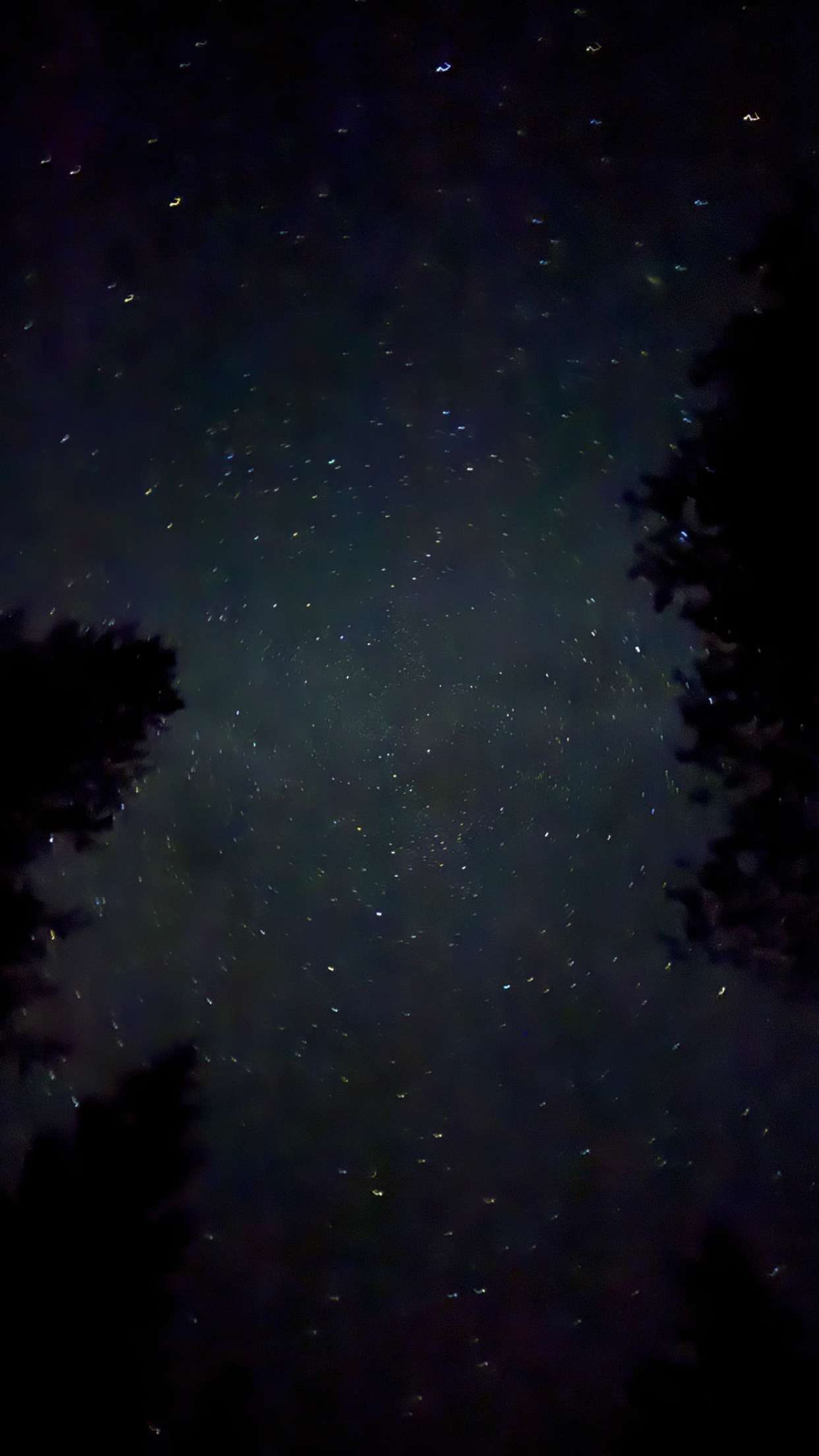 realhaylujan snapchat image archive image