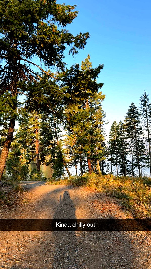 realhaylujan image ~ Altpins