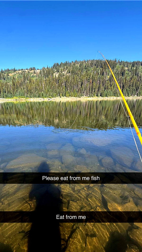 realhaylujan image ~ Altpins