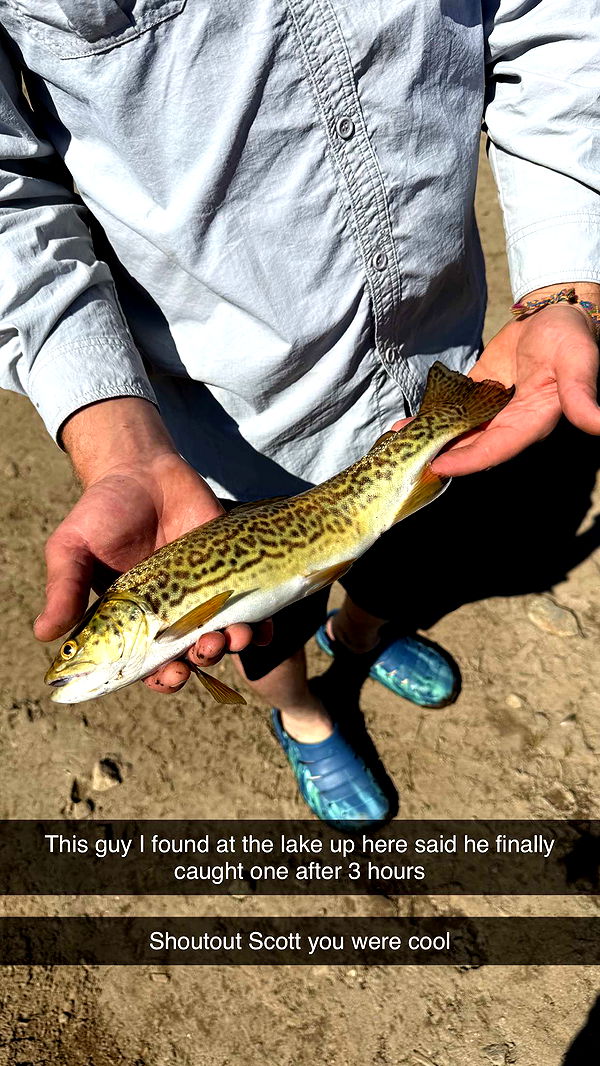 realhaylujan image ~ Altpins