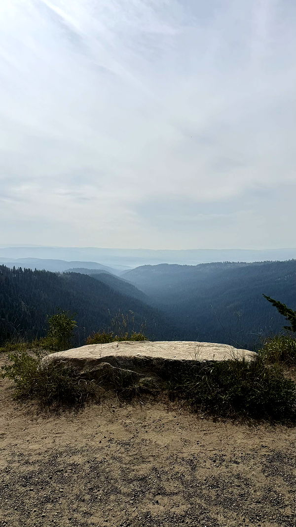 realhaylujan image ~ Altpins