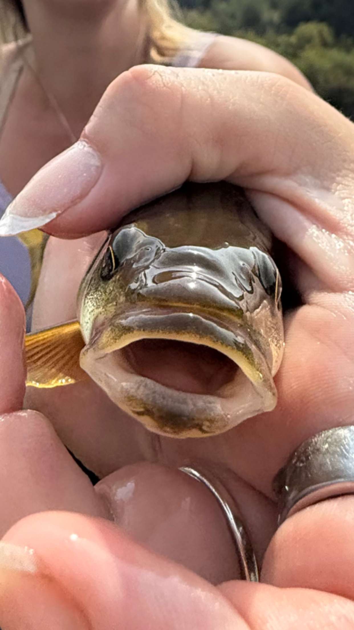 realhaylujan snapchat image archive image