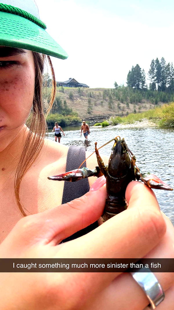 realhaylujan image ~ Altpins