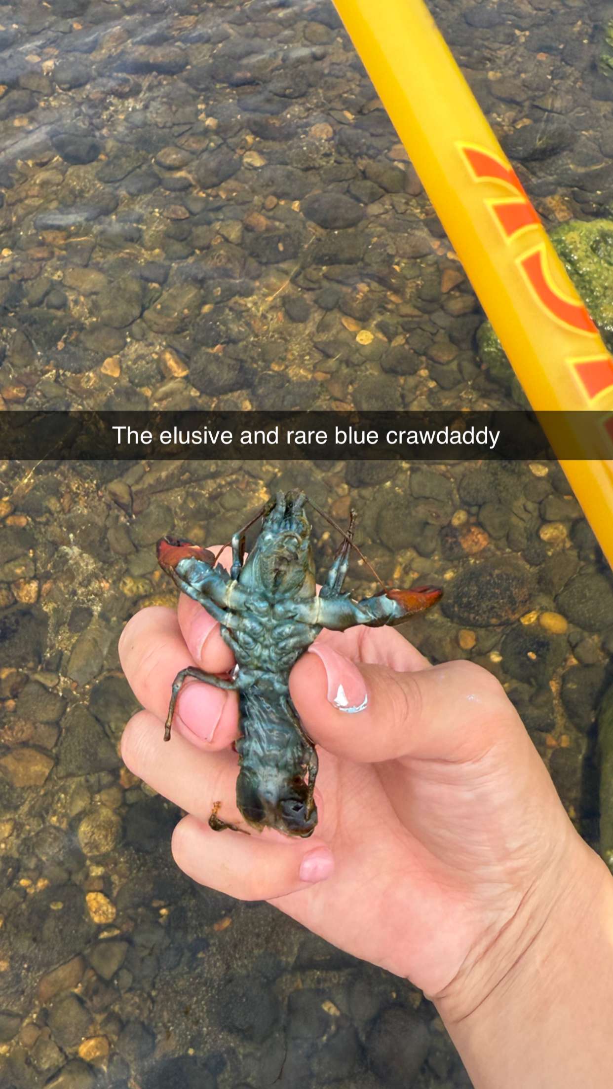 realhaylujan snapchat image archive image