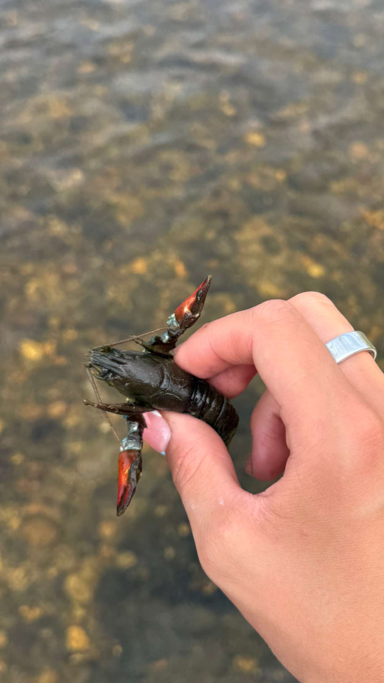 realhaylujan snapchat image archive image