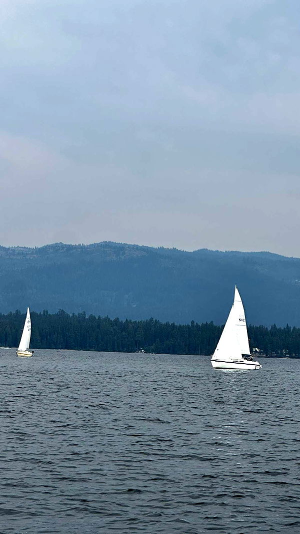 realhaylujan image ~ Altpins