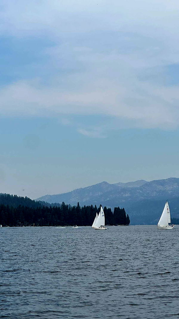 realhaylujan image ~ Altpins