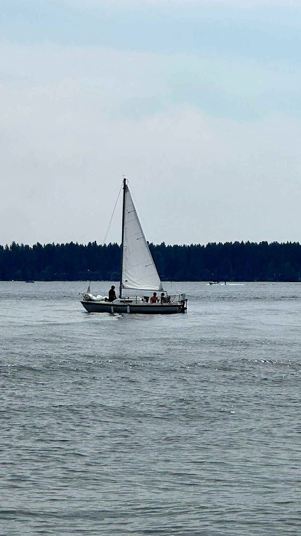 realhaylujan image ~ Altpins